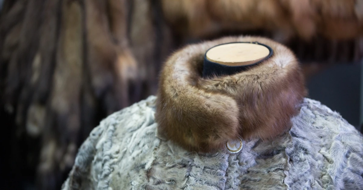 21-й пакет санкцій ЄС: ухвалено рішення про відновлення імпорту соболиного хутра з Росії